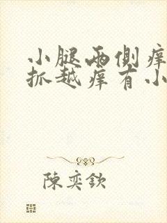 小腿两侧痒痒越抓越痒有小红疙瘩