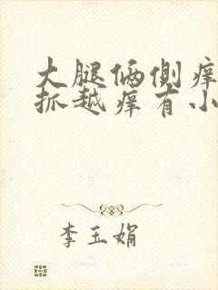 大腿俩侧痒痒越抓越痒有小红疙瘩晚上最痒