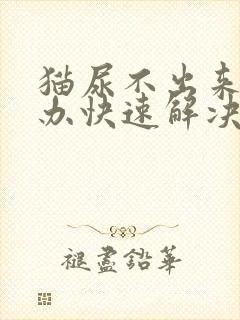 猫尿不出来怎么办快速解决