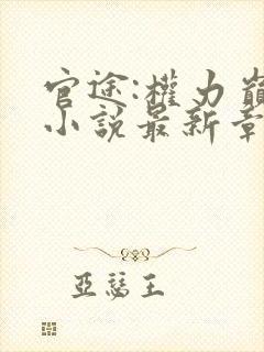 官途:权力巅峰小说最新章节