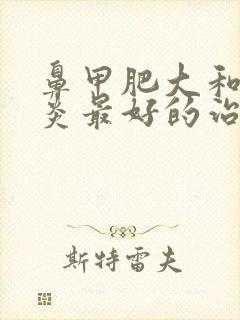 鼻甲肥大和鼻窦炎最好的治疗方法