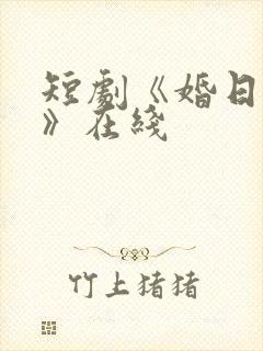 短剧《婚日情绝》在线