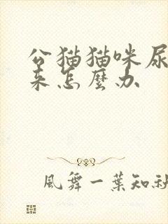 公猫猫咪尿不出来怎么办