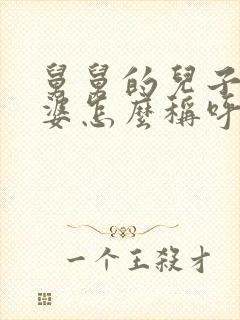 舅舅的儿子的老婆怎么称呼