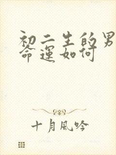 初二生的男孩的命运如何