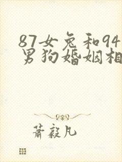 87女兔和94男狗婚姻相配吗