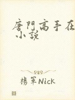 唐门高手在异世 小说