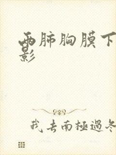 两肺胸膜下条索影