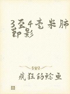 3至4毫米肺结节影