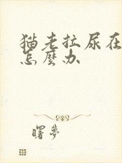 猫老拉尿在床上怎么办