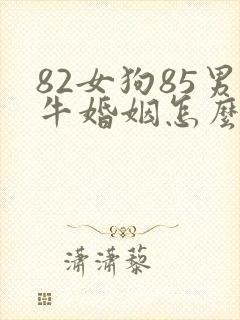 82女狗85男牛婚姻怎么样
