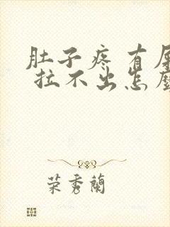 肚子疼 有屎意 拉不出怎么办