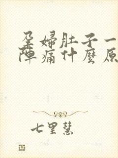 孕妇肚子一阵一阵痛什么原因封面