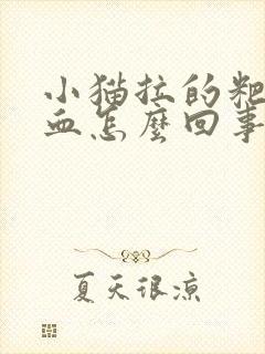 小猫拉的粑粑有血怎么回事