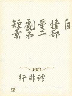短剧爱情自有天意第二部