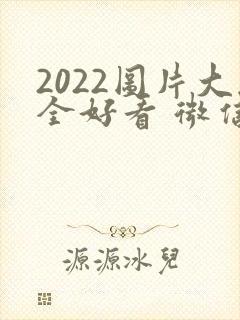 2022图片大全好看 微信头像