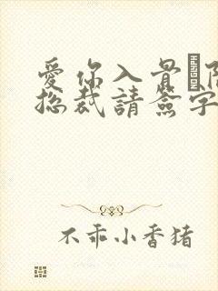 爱你入骨·隐婚总裁请签字