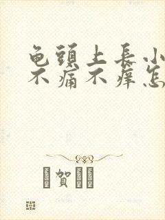 龟头上长小肉粒不痛不痒怎么办