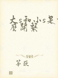 大s和小s是什么关系封面