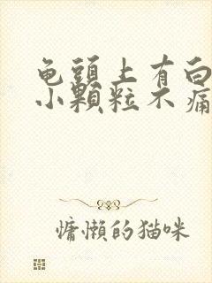 龟头上有白色的小颗粒不痛不痒