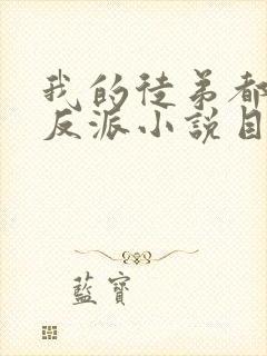 我的徒弟都是大反派小说目录封面