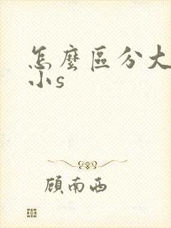 怎么区分大s和小s