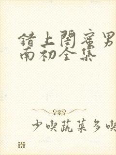 错上闺蜜男友沈南初全集