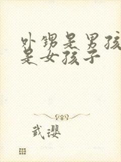 外甥是男孩子还是女孩子