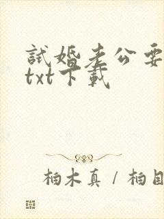 试婚老公要给力txt下载封面