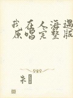 我在人海遇见你原唱完整版封面