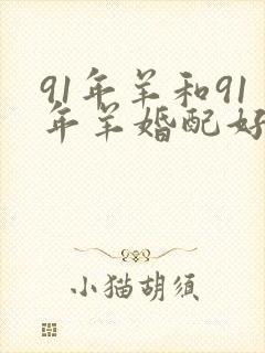 91年羊和91年羊婚配好不好