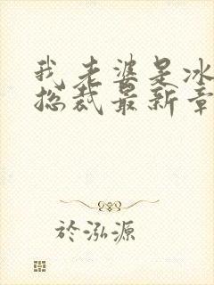 我老婆是冰山女总裁最新章节阅读