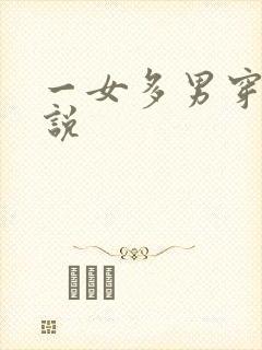 一女多男穿越小说封面