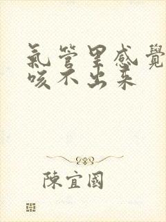 气管里感觉有痰咳不出来