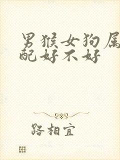 男猴女狗属相婚配好不好