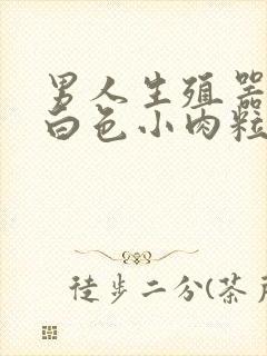 男人生殖器长了白色小肉粒