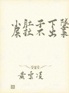 小肚子下坠想拉屎拉不出来怎么回事