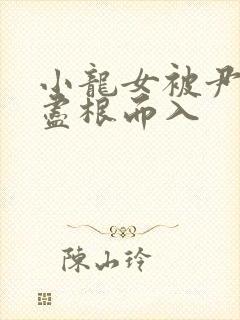 小龙女被尹志平尽根而入