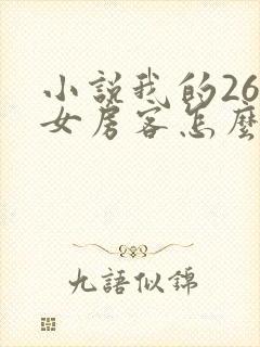 小说我的26岁女房客怎么样