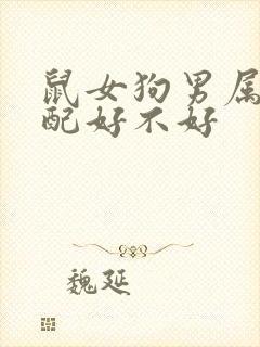 鼠女狗男属相婚配好不好封面