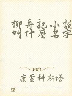 柳舟记小说原著叫什么名字