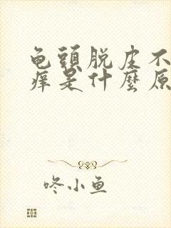 龟头脱皮不痛不痒是什么原因封面