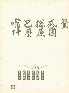 嘴巴总感觉苦是什么原因