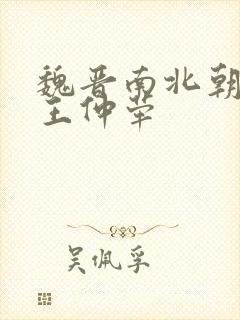 魏晋南北朝史 王仲荦