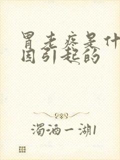 胃老疼是什么原因引起的封面