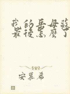 我的岳母苏沛真最后怎么了