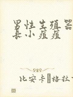 男性生殖器根部长小痘痘封面