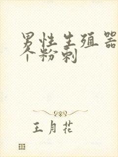 男性生殖器上长个粉刺封面