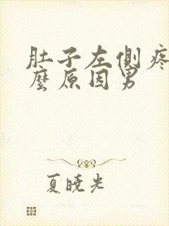 肚子左侧疼是什么原因男