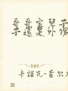 哥哥家儿子是侄子还是外甥